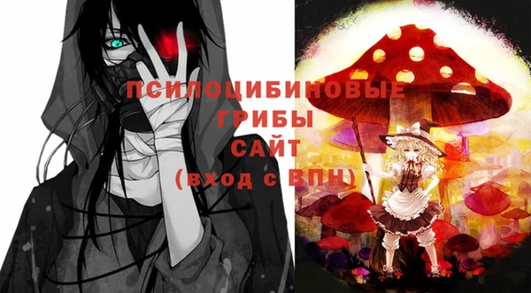 хмурый Балахна